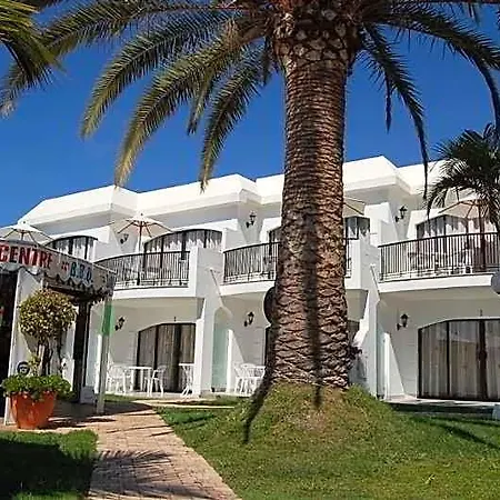 Buganvillas